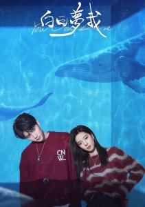 Мечтай обо мне, Сезон 1